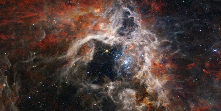 The Tarantula Nebula will ensnare you in a web of beauty The Tarantula Nebula will ensnare you in a web of beauty