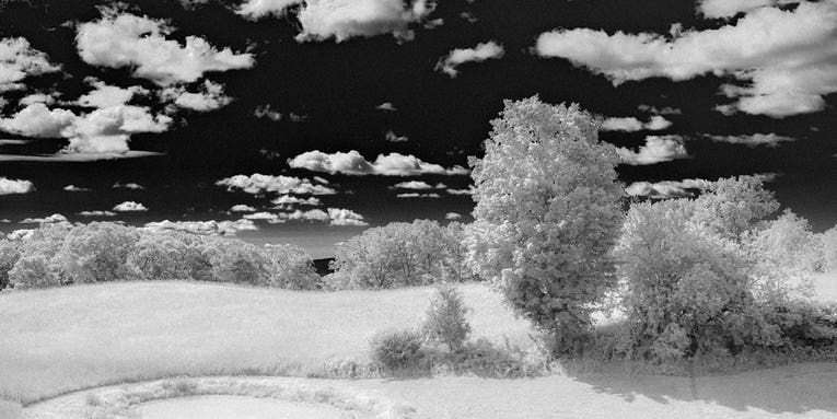Software Workshop: Fake Infrared Photography Using Adobe Camera Raw Software Workshop: Fake Infrared Photography Using Adobe Camera Raw