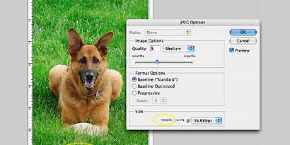 Megabytes, Megapixels, JPEG Compression, and File Size Confusion Megabytes, Megapixels, JPEG Compression, and File Size Confusion