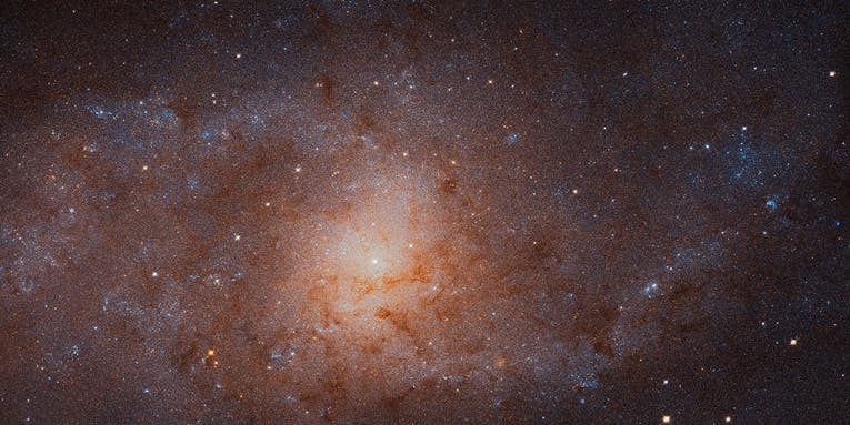New Hubble image offers a detailed look at the Triangulum Galaxy New Hubble image offers a detailed look at the Triangulum Galaxy