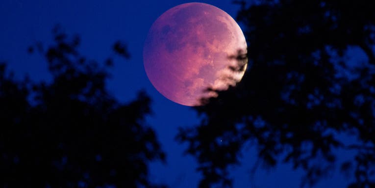 How to take a picture of the moon that doesn’t look like a tiny, white blob How to take a picture of the moon that doesn’t look like a tiny, white blob