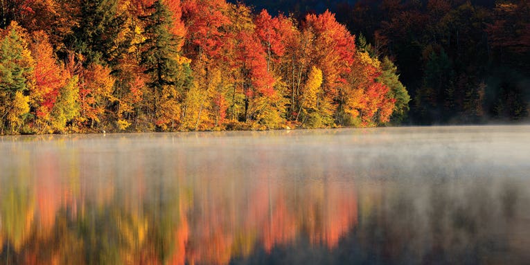 How To Take Great Fall Photographs How To Take Great Fall Photographs
