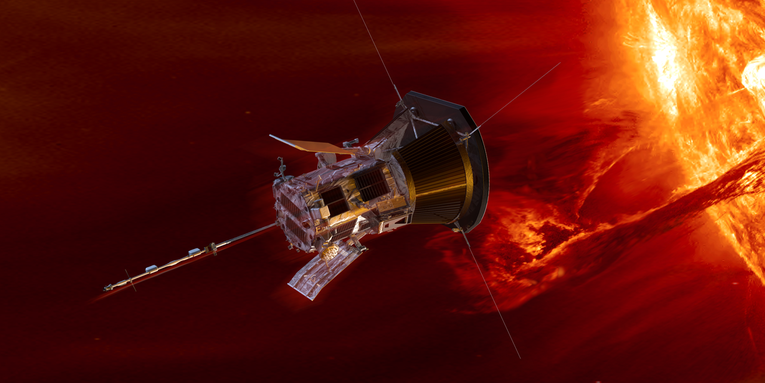 NASA probe sends back photos from inside the sun’s atmosphere for the first time ever NASA probe sends back photos from inside the sun’s atmosphere for the first time ever