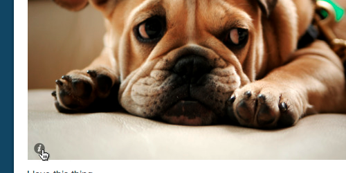 Tumblr Can Now Show EXIF Data on Photos Tumblr Can Now Show EXIF Data on Photos