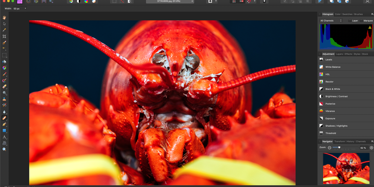 Affinity Photo review: An affordable Photoshop alternative with some compromises Affinity Photo review: An affordable Photoshop alternative with some compromises